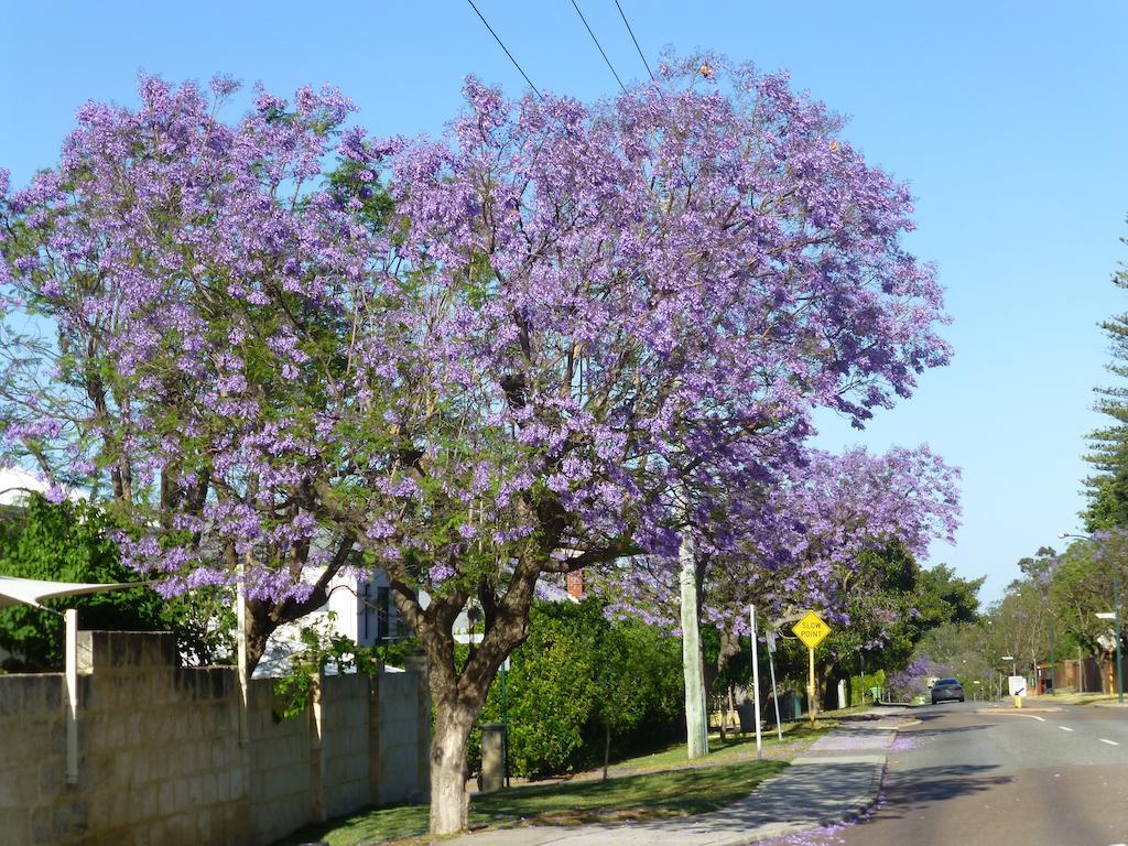 Lakeside Bed & Breakfast Perth Bagian luar foto